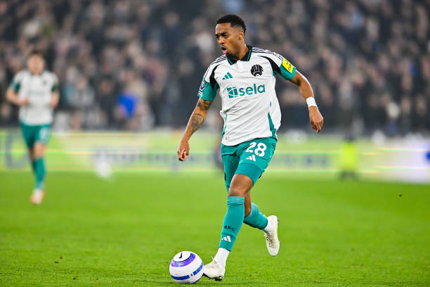 共生的典范 共生的典范