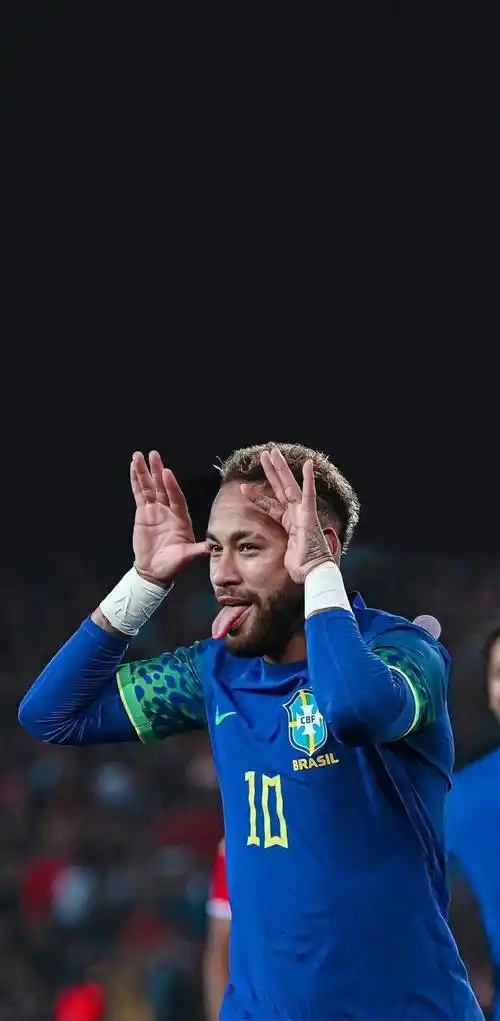 體系的差異 體系的差異