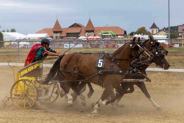 場和前場提 場和前場提